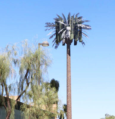 Camouflaged-Towers-Antenna-Tower-Tree-Hidden