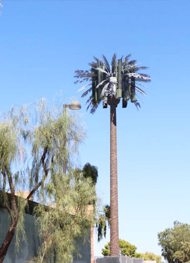 Camouflaged-Towers-Antenna-Tower-Tree-Hidden